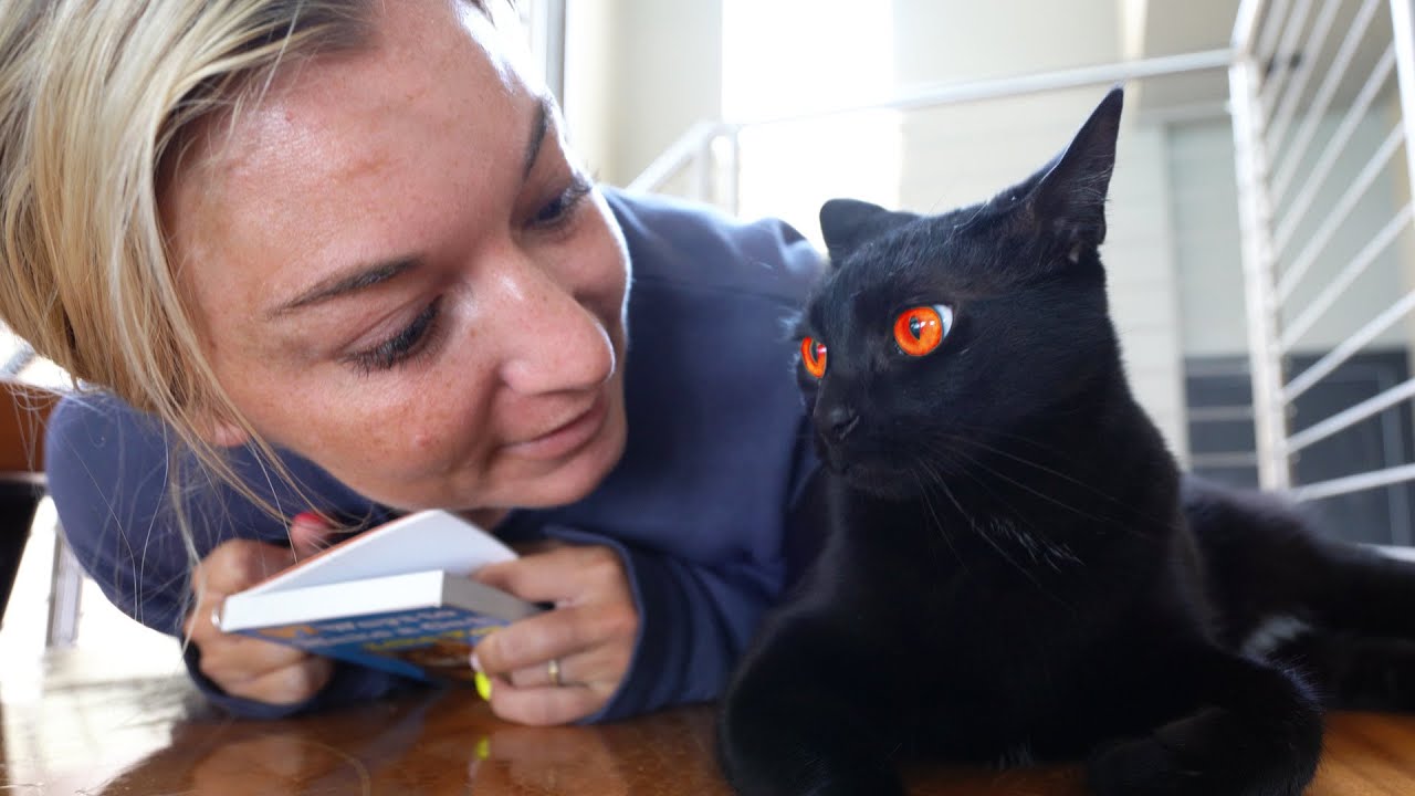 no matter what we do, my cat hates my girlfriend