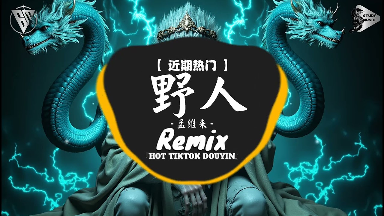 孟维来 - 野人 (抖音DJ版) D&atilde; Nh&acirc;n (Remix) - Mạnh Duy Lai『不再借世人的手 替我开脱，遍野的花骨朵 也能够耐住寂寞。』NewsTrend【抖音TikTok】