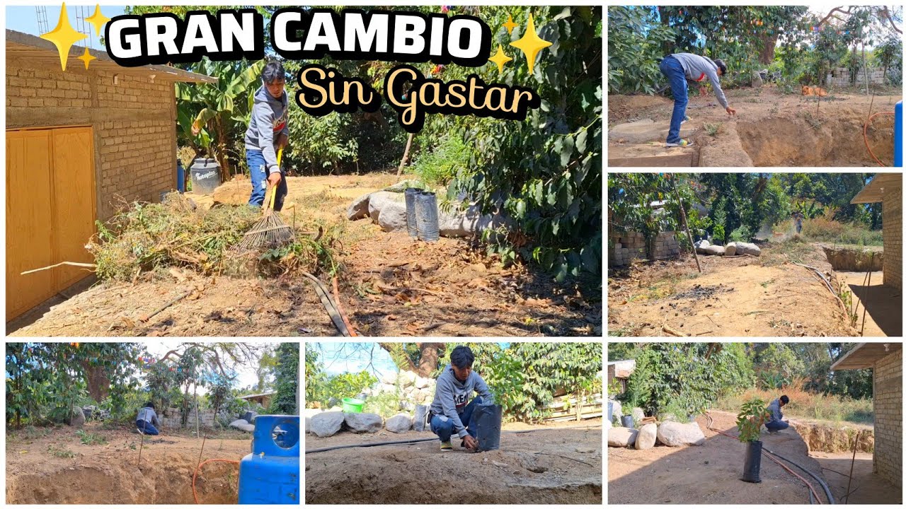 MEJORANDO el PATIO✨️ solo con PLATAS y LIMPIEZA ✅️ Sin Gastar 🤑