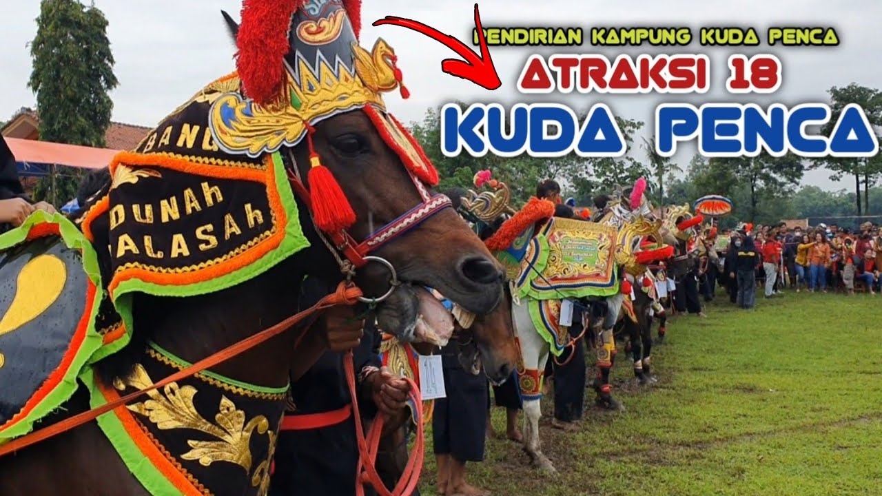 Kuda renggong - Gelar atraksi 18 kuda silat