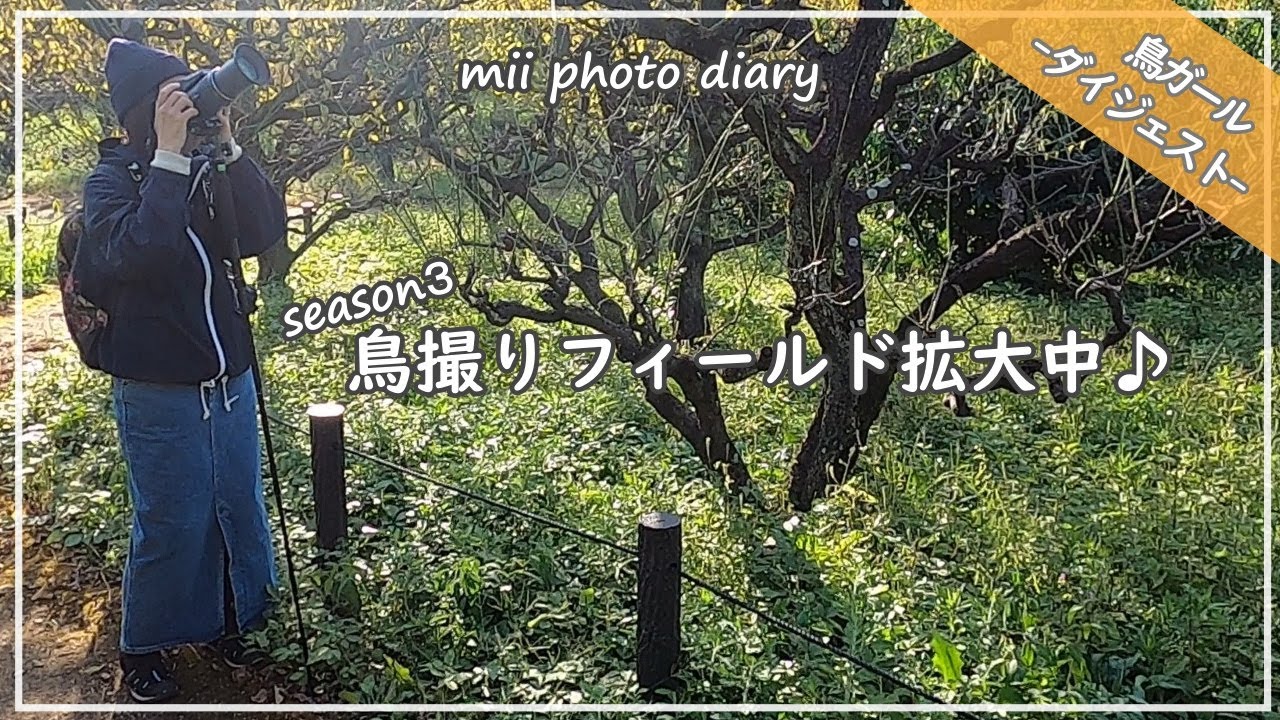 【season3】鳥ガール♪鳥撮りフィールド拡大中♪【鳥撮りダイジェスト】