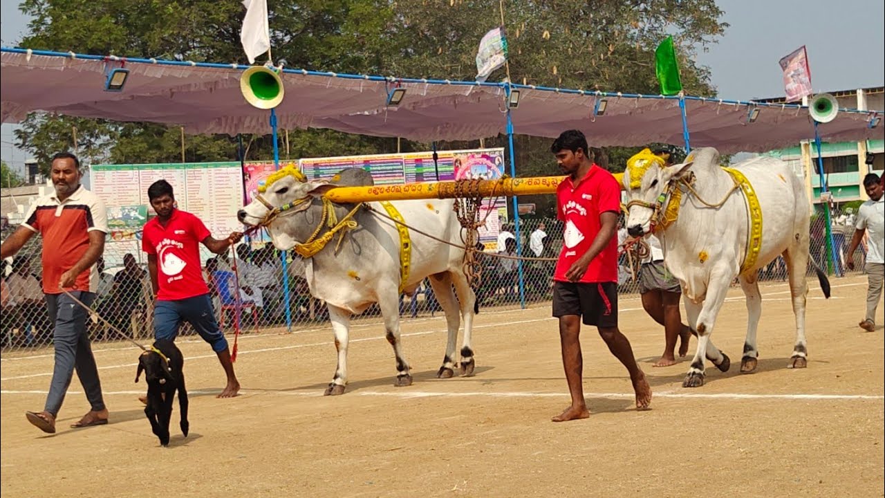 రెంటచింతల 2 పళ్ళు 4వ