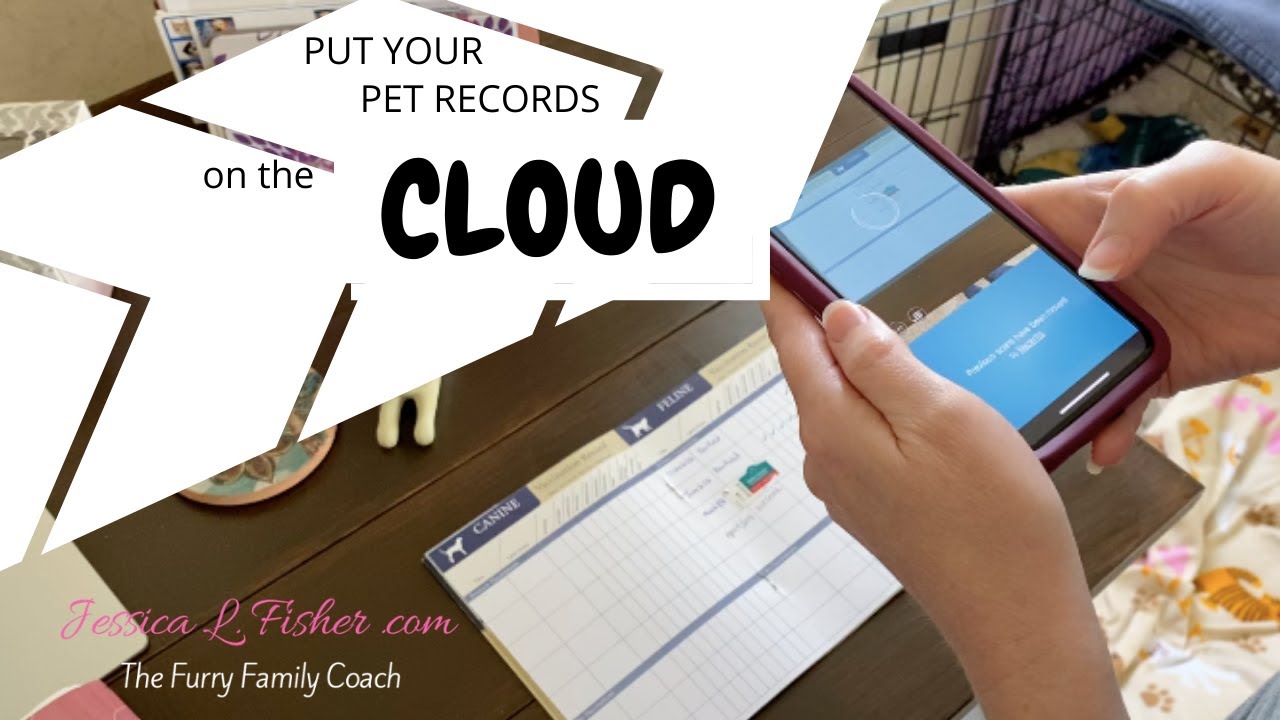 How To Go Paperless With Pet Records 2020 | Digitize Your Pets Medical Records | How To Go Paperless