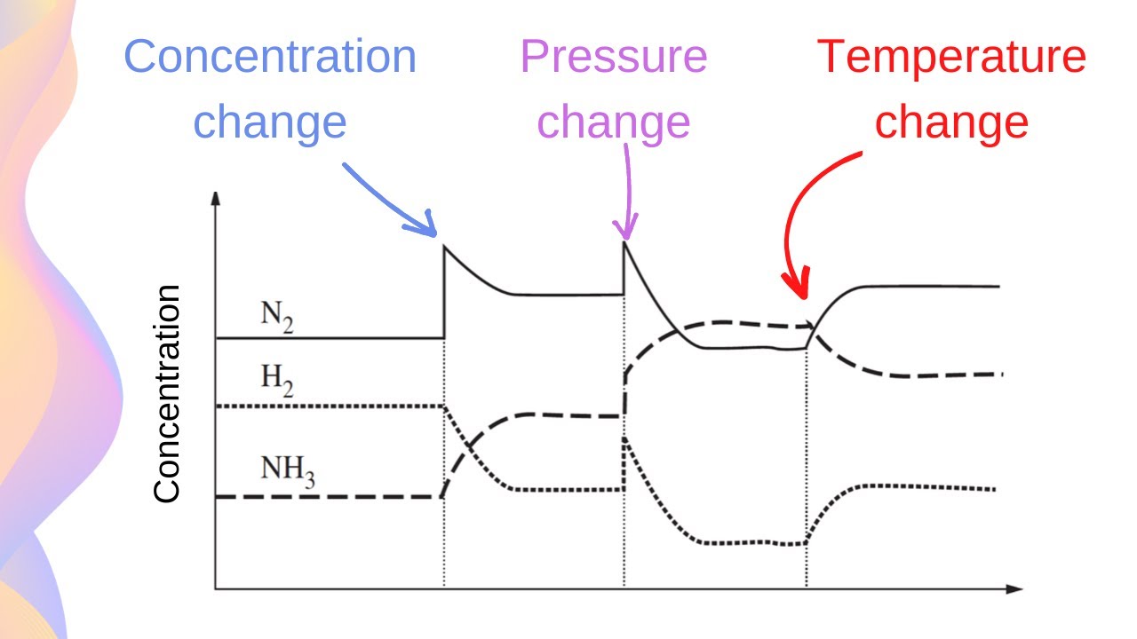 Как отвечать на вопросы экзамена по графику равновесия // HSC Chemistry