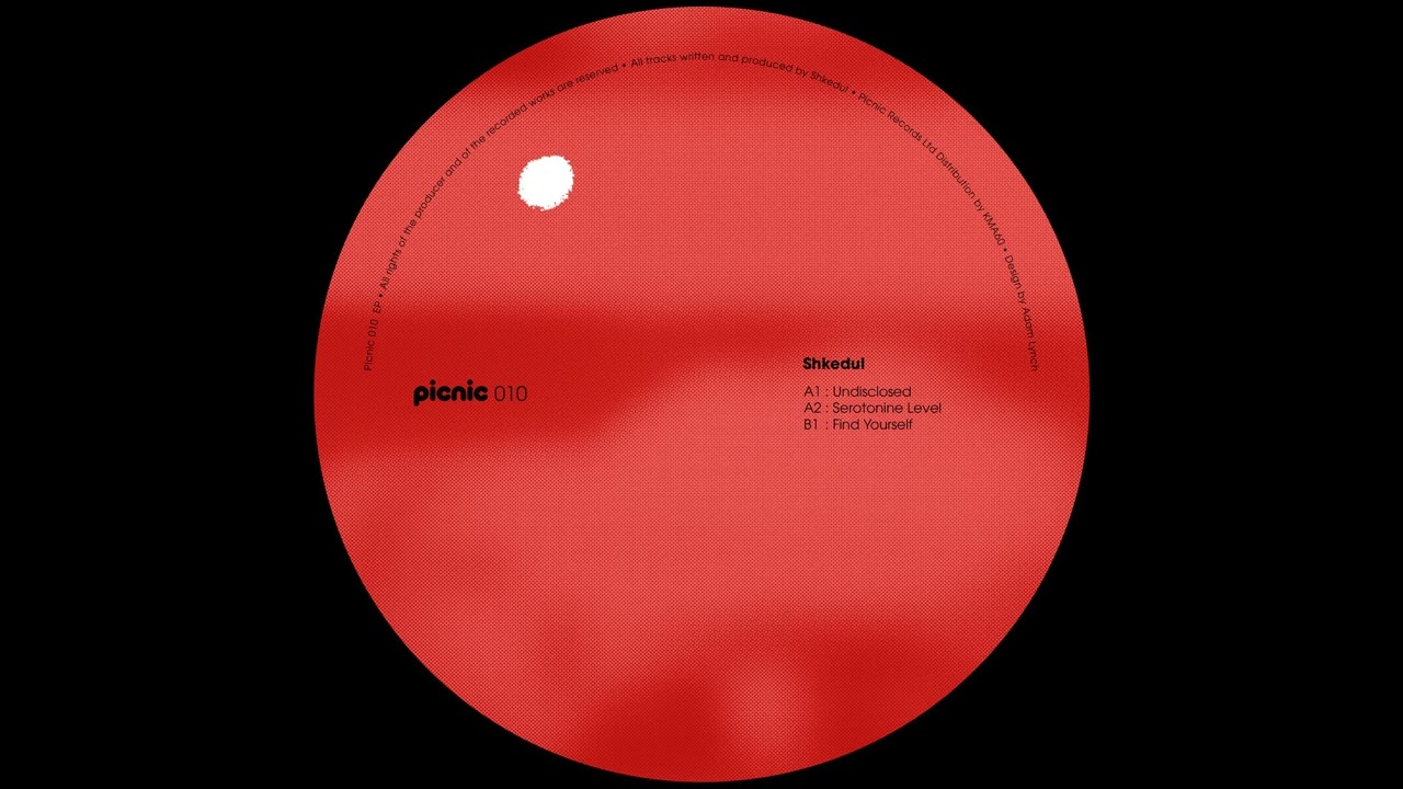 Shkedul - Find Yourself [PICNIC010]