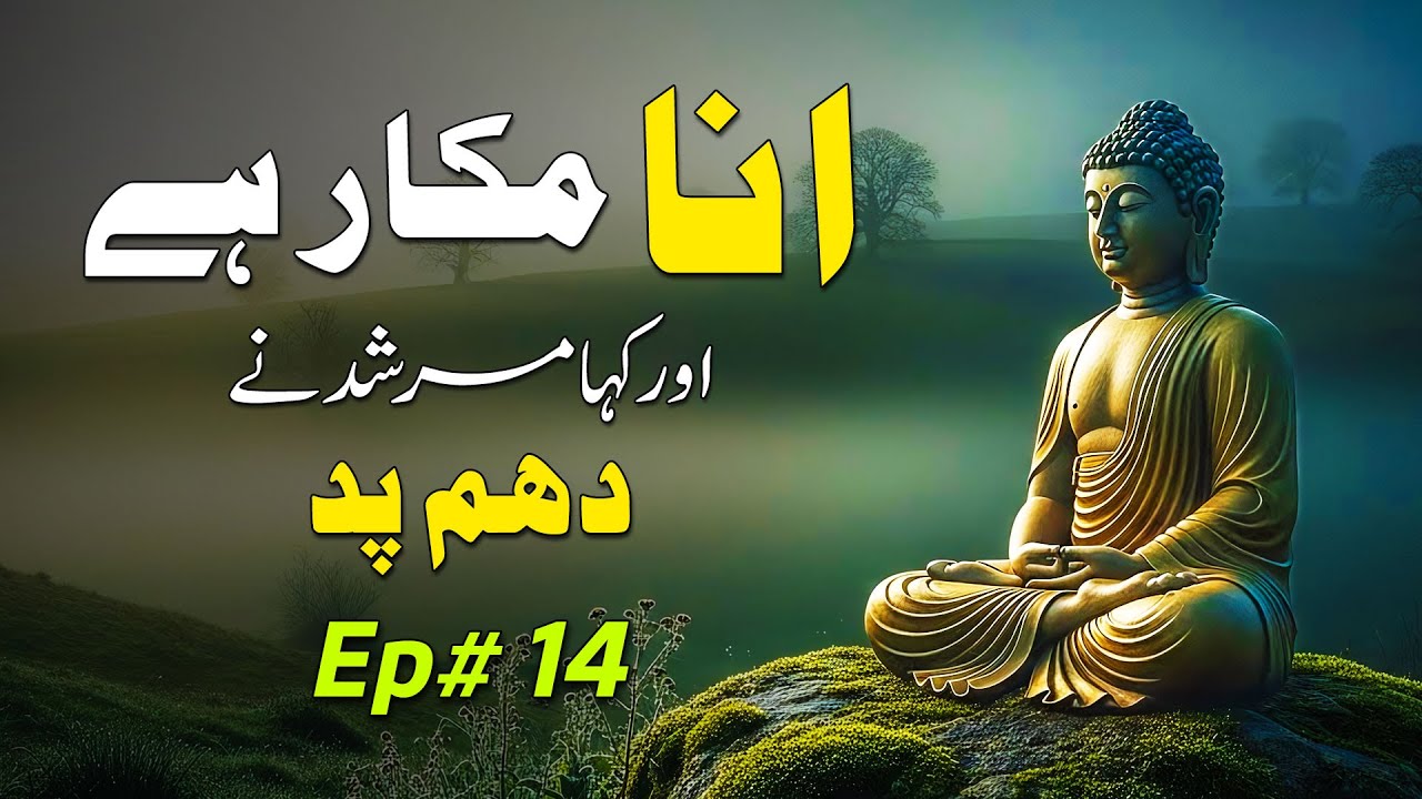 Stop Searching for the Truth, Start Losing the Lies | Dhammapada - Ep. 14