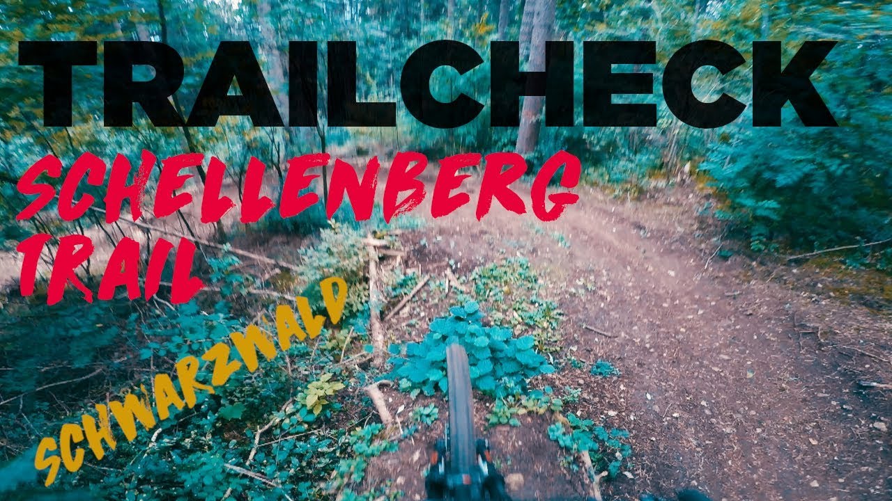 Trailcheck | Schellenberg Single Trail | Bräunlingen - Schwarzwald | Jonas Heidl