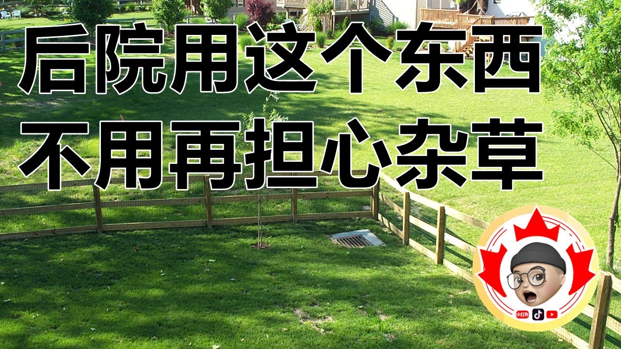 草地里面用黑布 不用再担心杂草 | 多伦多生活的Gary