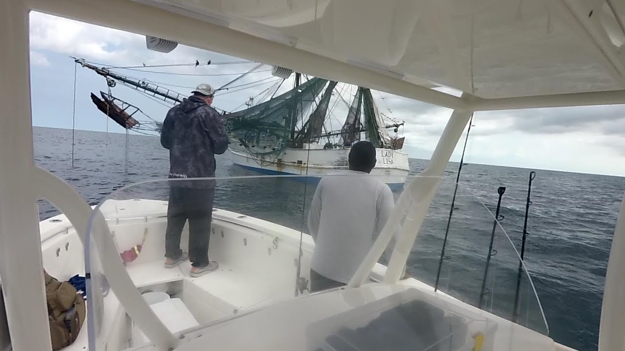 Muttons, Grouper and Porgy off Naples Florida