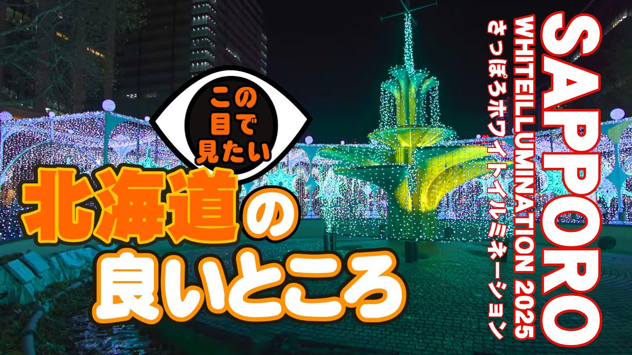 冬の夜を照らす静かな輝き｜さっぽろホワイトイルミネーション 2025
