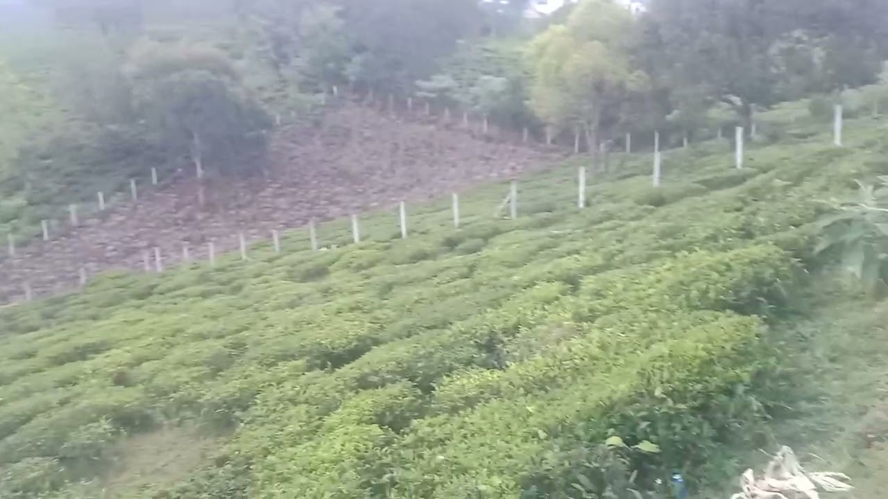 Nilgiris ooty , 45 cent, price per cent 2 lakhs per cent road margin, contact 8098010487