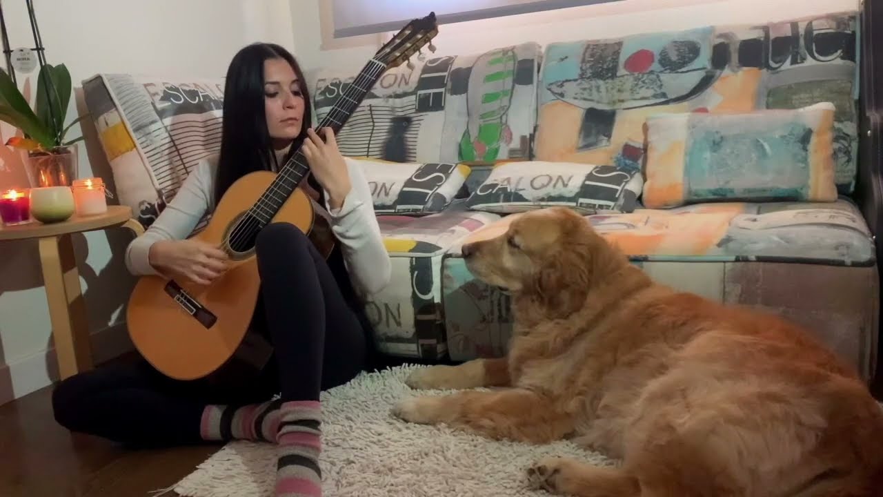 Balada para Martin Fierro (Ariel Ramirez) - Isabel Martínez, guitar