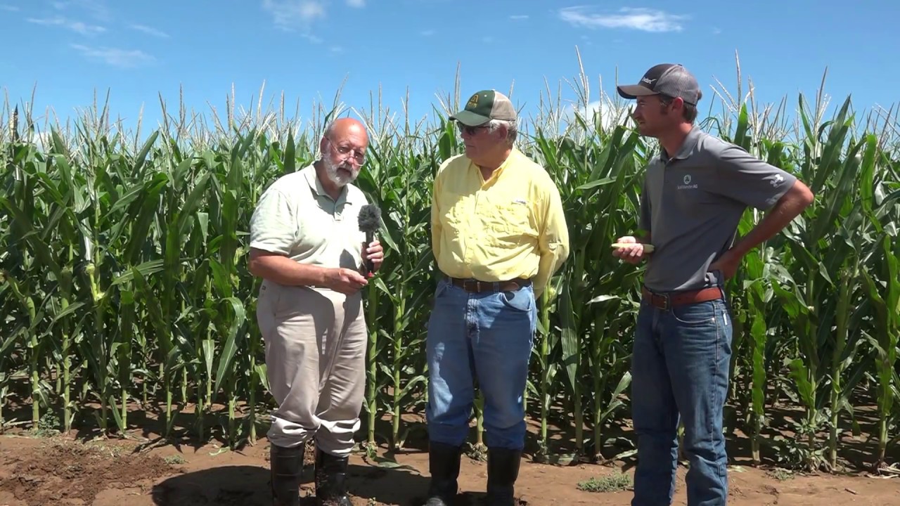 Part 5 Irrigating Corn with Salty Water