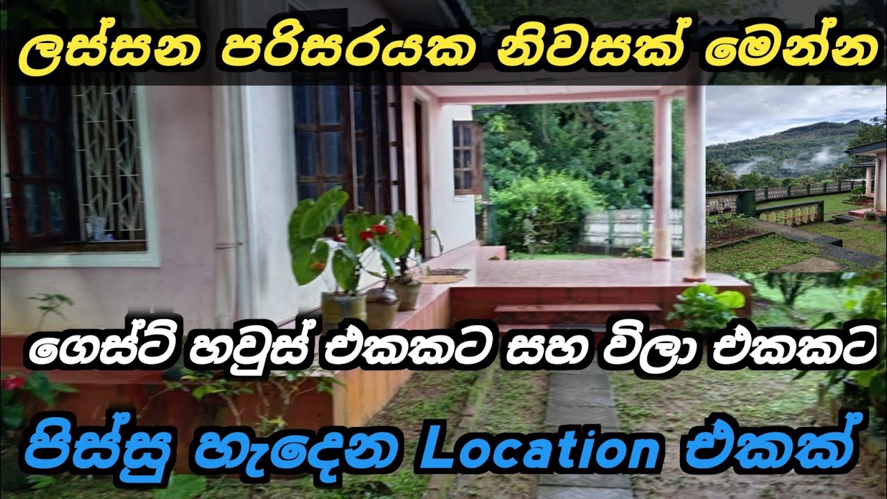 ගෙස්ට් හවුස් එකකට සහ පදිංචියට නිවසක් | House for sale | House sale in kandy | Ikman Selling 