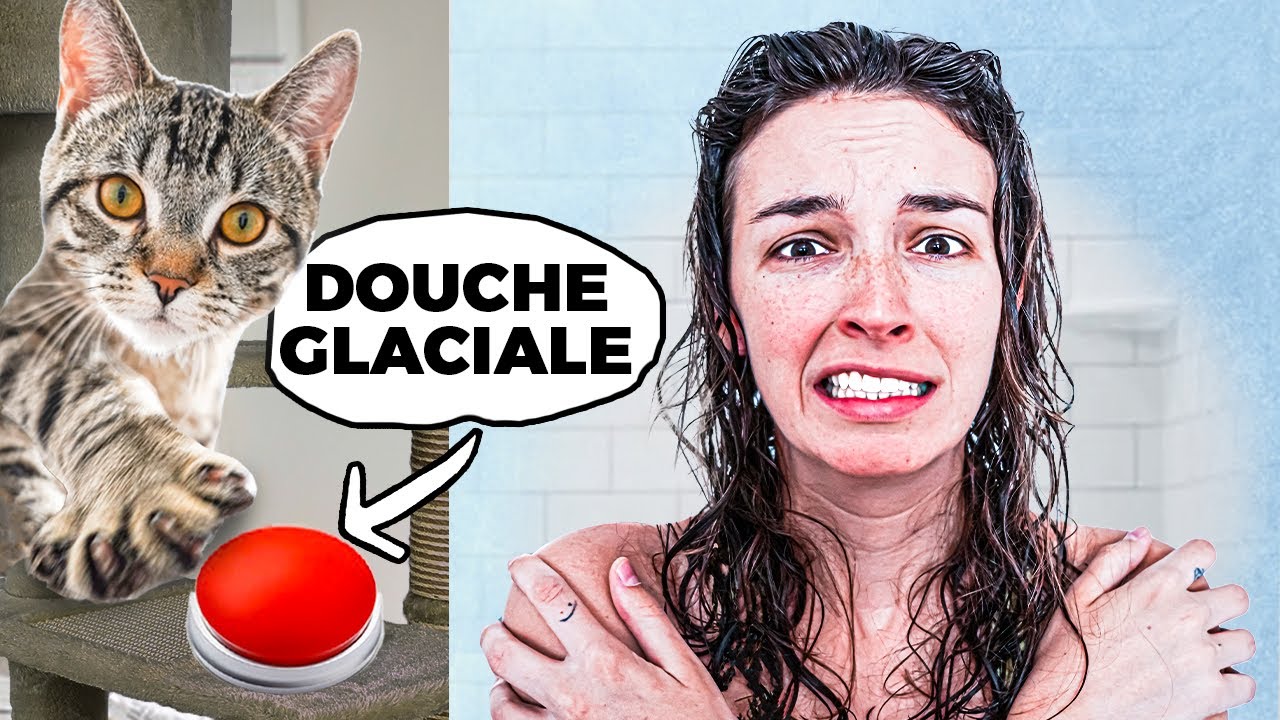 24H CONTRÔLÉ PAR MON CHATON ! (il décide tout)