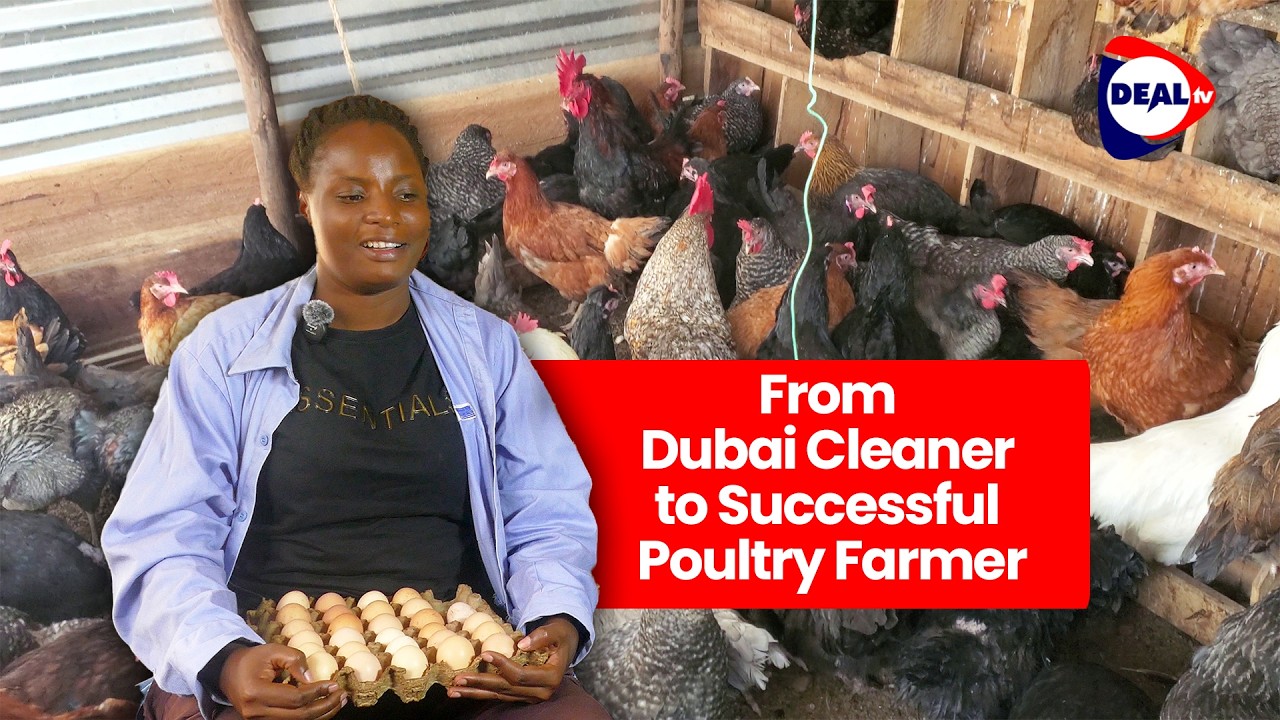 From Dubai Cleaner to 5M/Month in Local Chicken Farming 🇺🇬