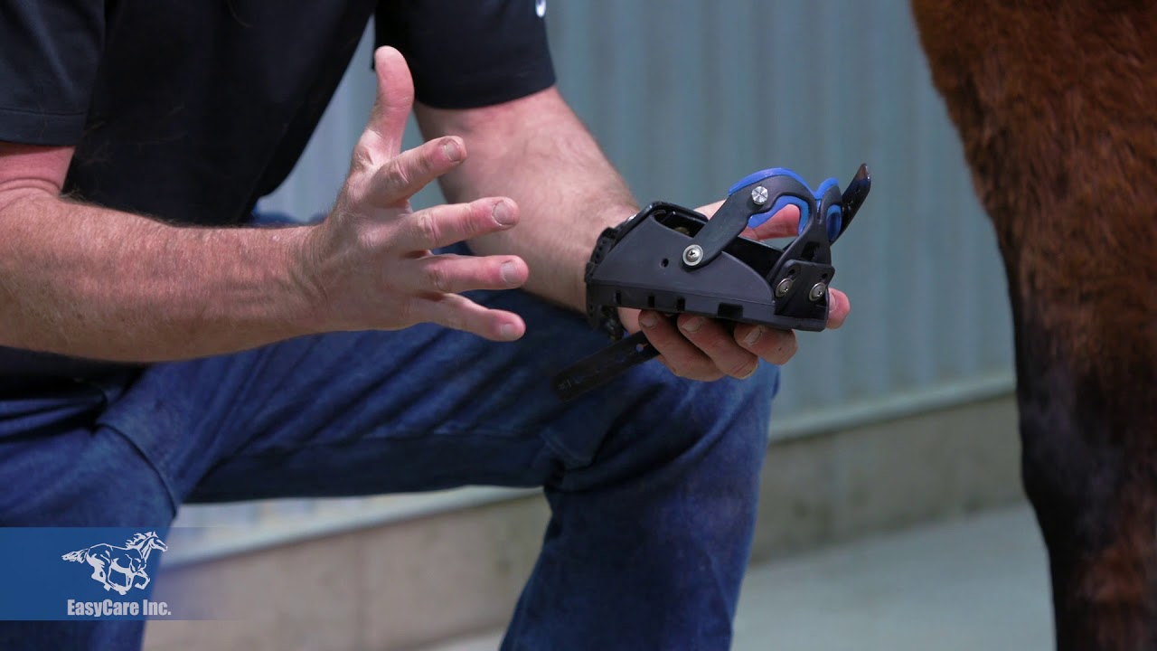Easyboot Fury Sling Fit Kit and Application Steps