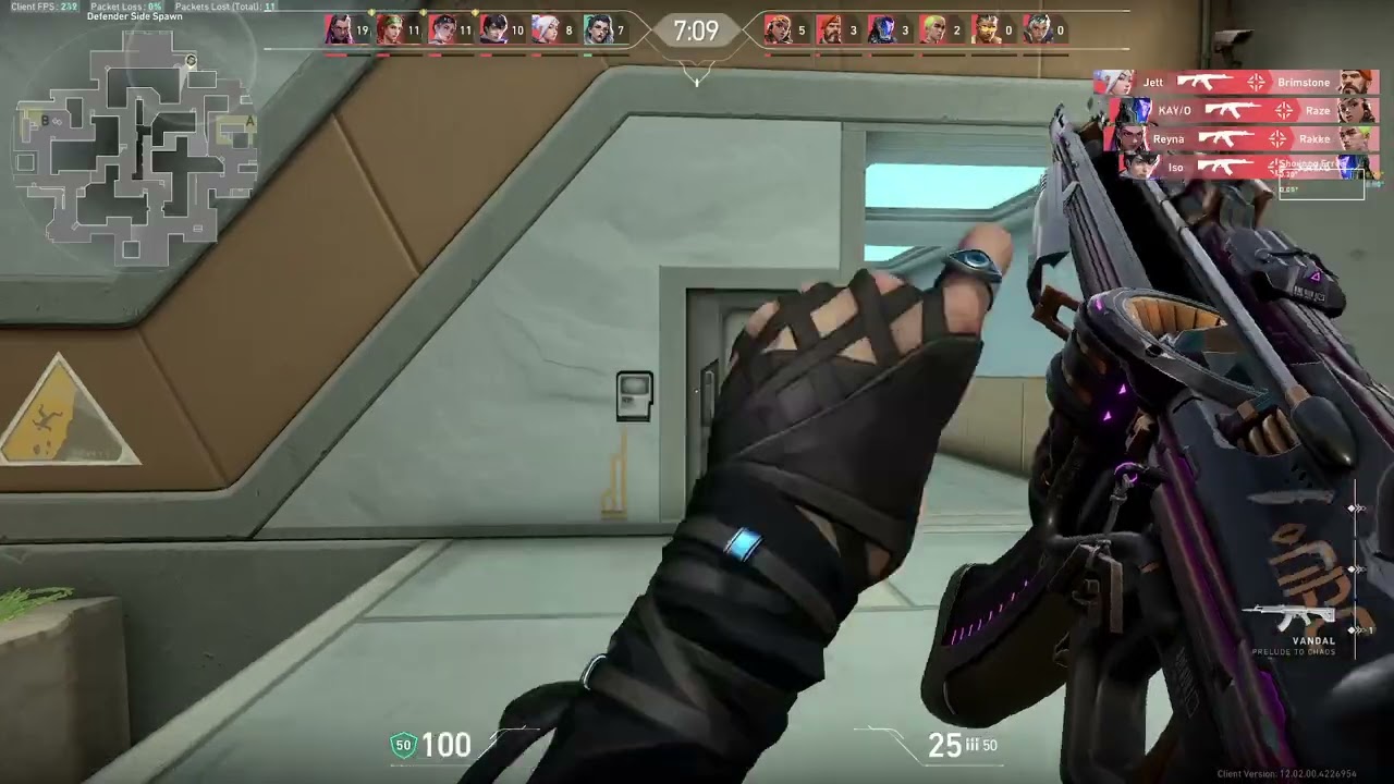 Deathmatch Vandal Only