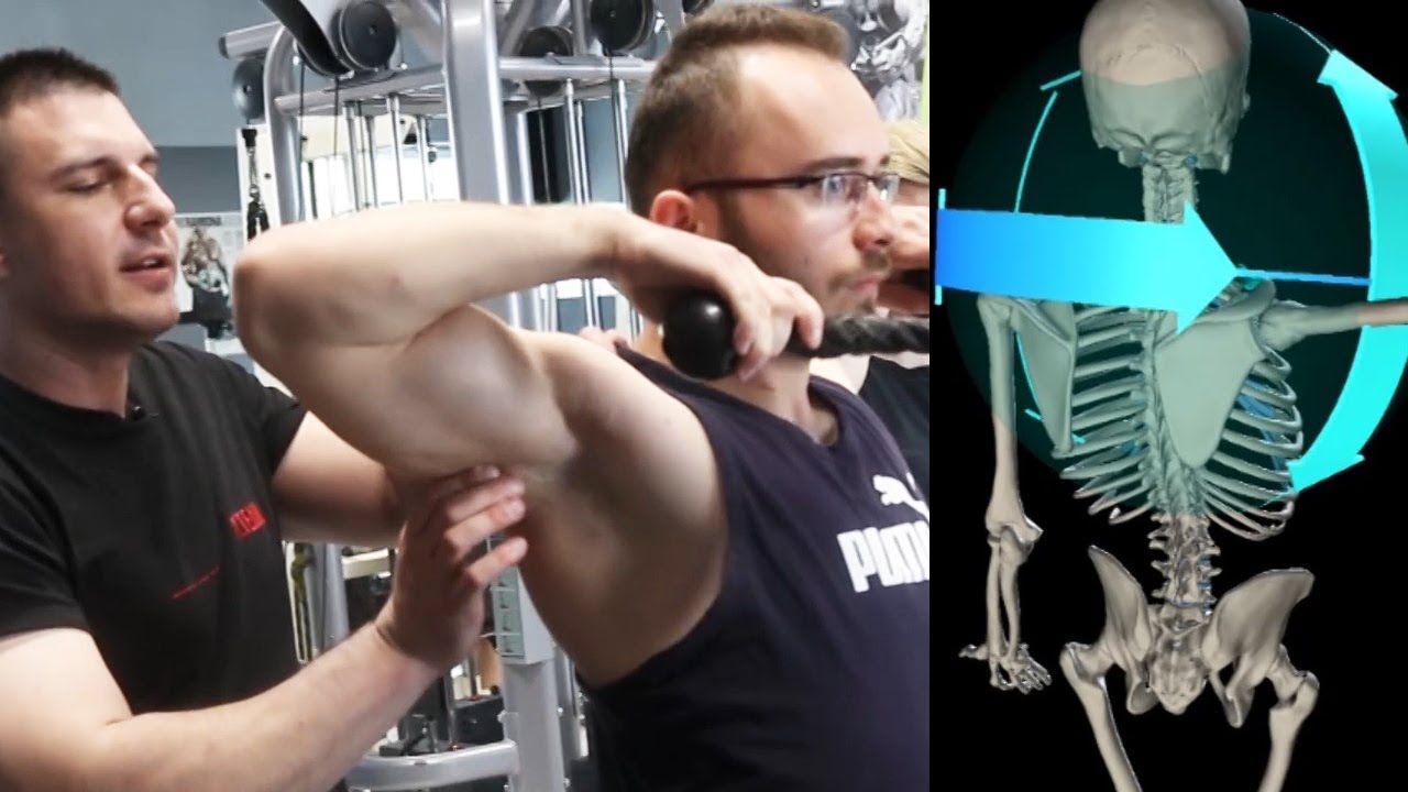 Angażowanie 3 części mięśnia czworobocznego  | Patenty Działają