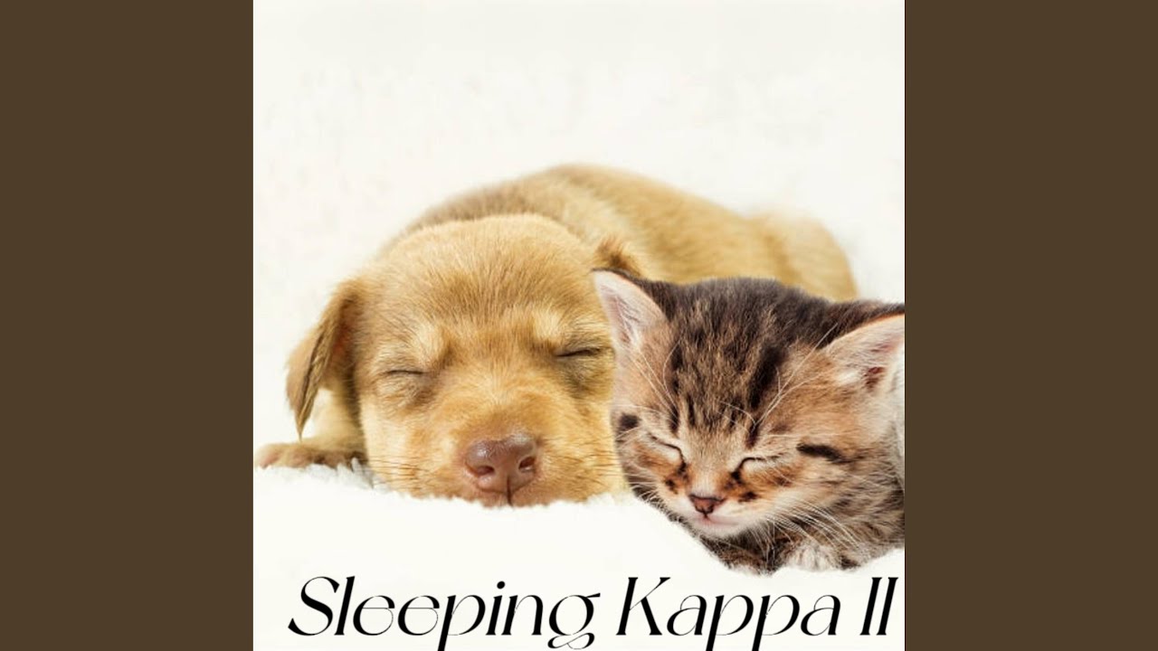 睡眠音樂一秒入睡! !無廣告 ,兩小時睡眠音樂,放鬆音樂...