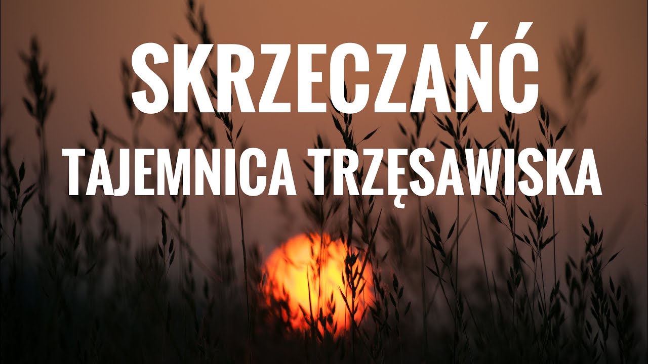 Tajemnica trzęsawiska „Skrzeczańć” Cisek, Sukowice.