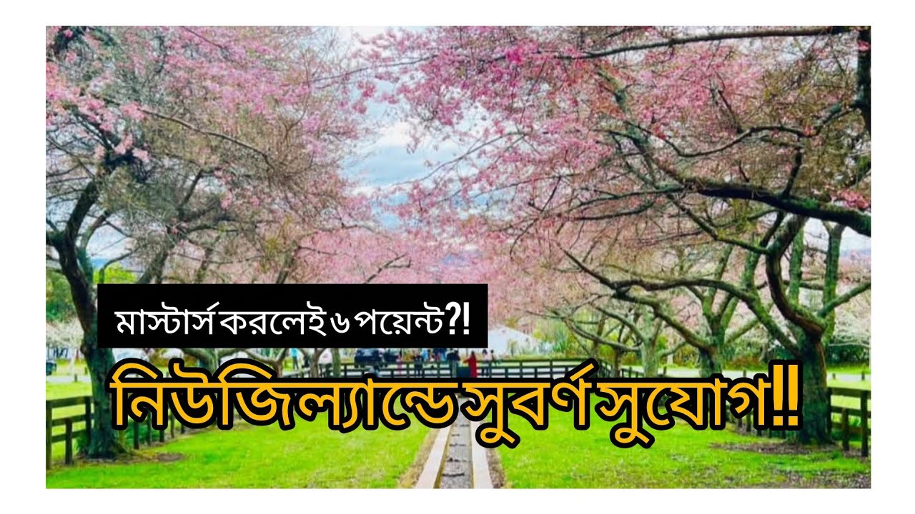 ছাত্রদের জন্য নিউজিল্যান্ড এখন আরো আকর্ষণীয়!!