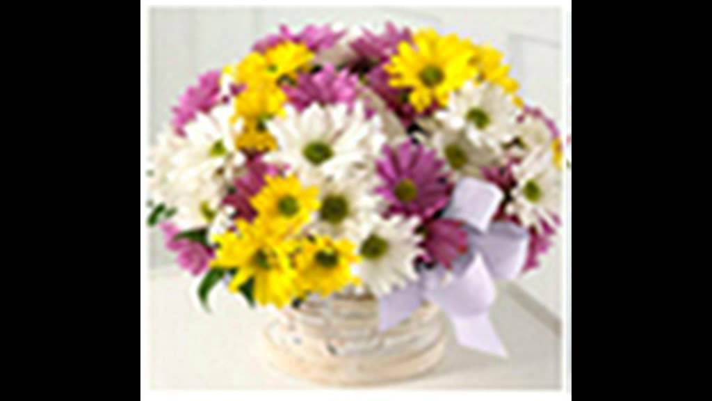 APFLORA-Send Anniversary Flowers