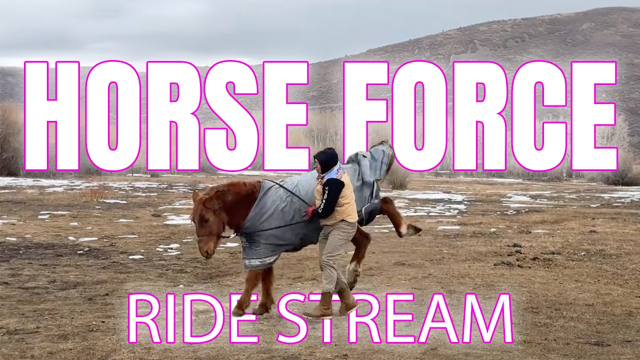 Horse Force
