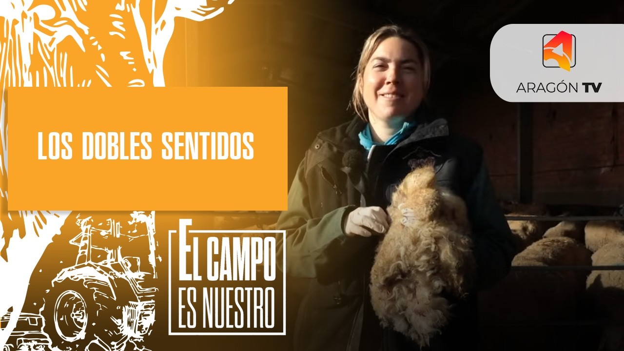 Los dobles sentidos
