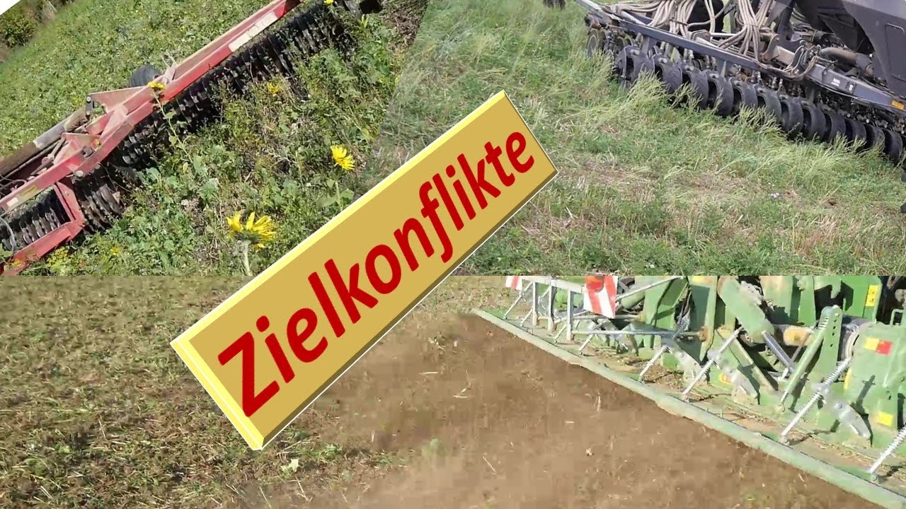 Zielkonflikte