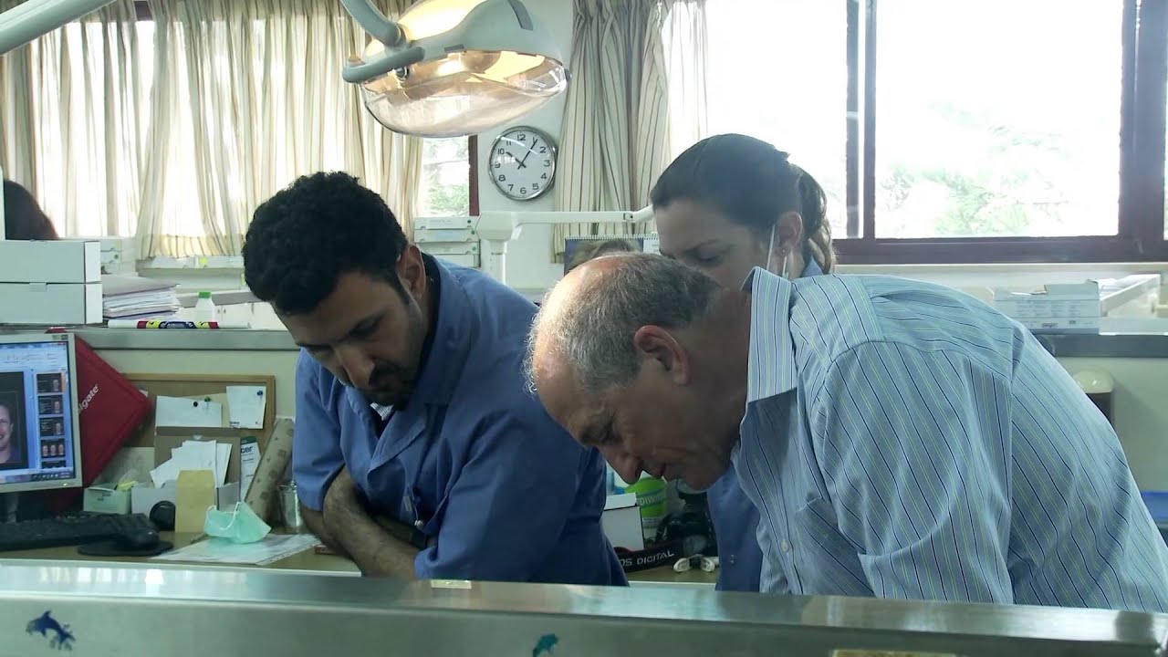 חיוך מפה לפה - בביה