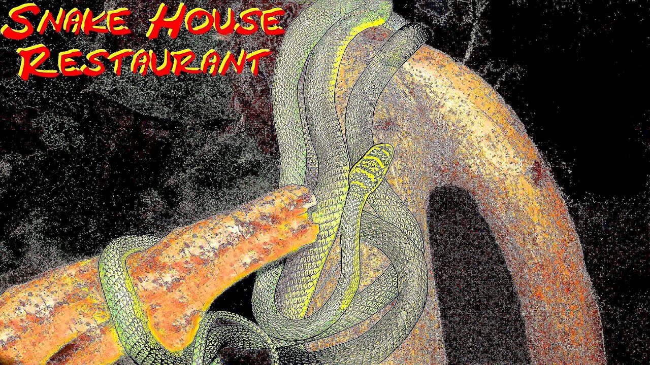 KAMBODSCHA SIHANOUKVILLE - SNAKE HOUSE RESTAURANT