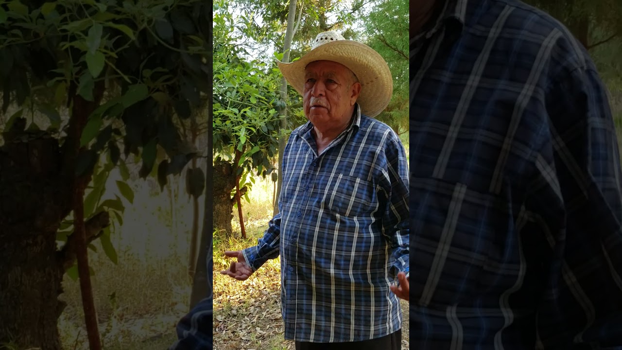 conociendo Ocuituco