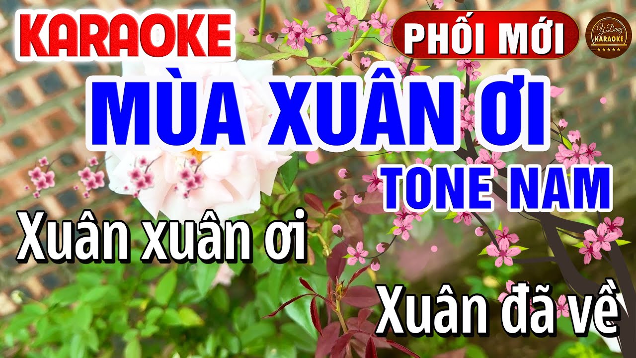 Mùa Xuân Ơi Karaoke Remix Tone Nam Dễ Hát Nhạc Tết 2026 | Y Dung Karaoke
