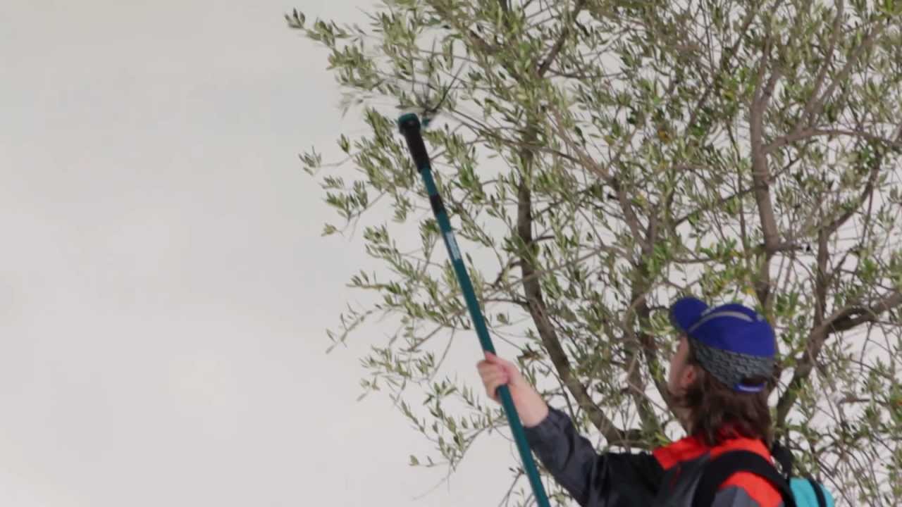 MAKITA Abbacchiatore a batteria 36V