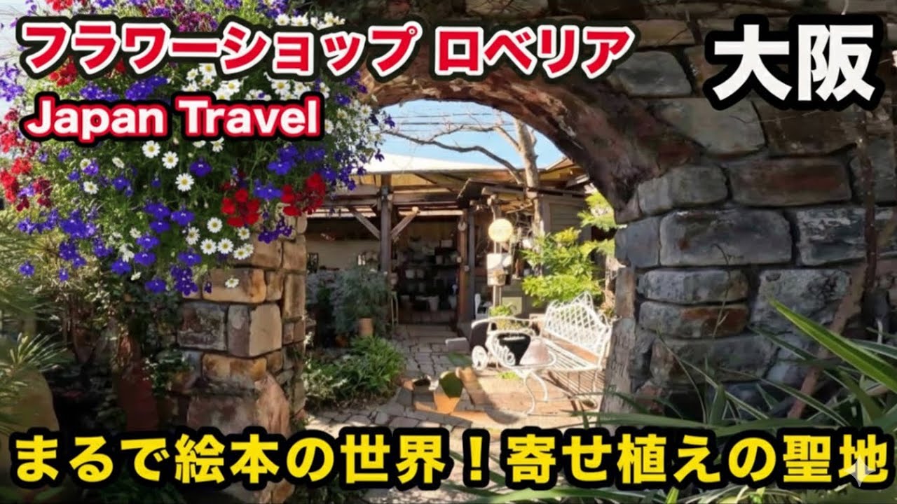 【神センスすぎ】フラワーショップロベリア🌹NHK趣味の園芸の上田広樹さんが作る寄せ植えがヤバい❗️🌹【フラワーショップ ロベリア】内部完全公開☘️可愛すぎて悶絶❗️🌱
