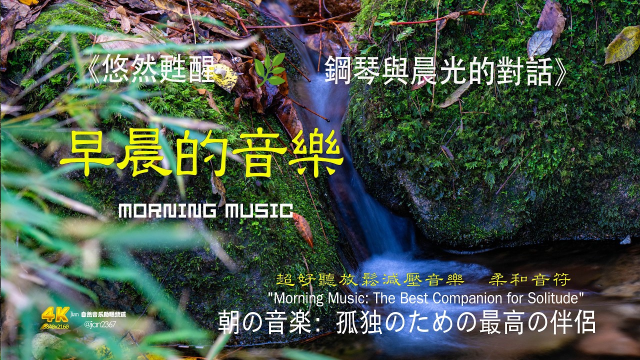 悠然甦醒 🌿 鋼琴與晨光的對話 #清晨音樂 #冥想 #睡眠音樂 #輕音樂 #自然聲音#溪流聲 #放鬆 #空靈音樂 #心靈音樂 #深呼吸 #心靈療癒#清晨音樂