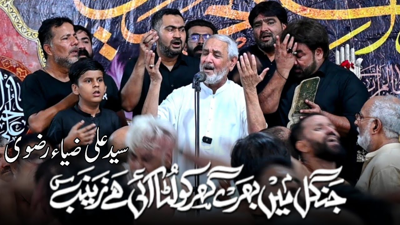 Jungle Main Bhare Ghar Ko Luta Ayi Hai Zainab || Syed Ali Zia Rizvi Zia Bhai || Gulistan Society KHI