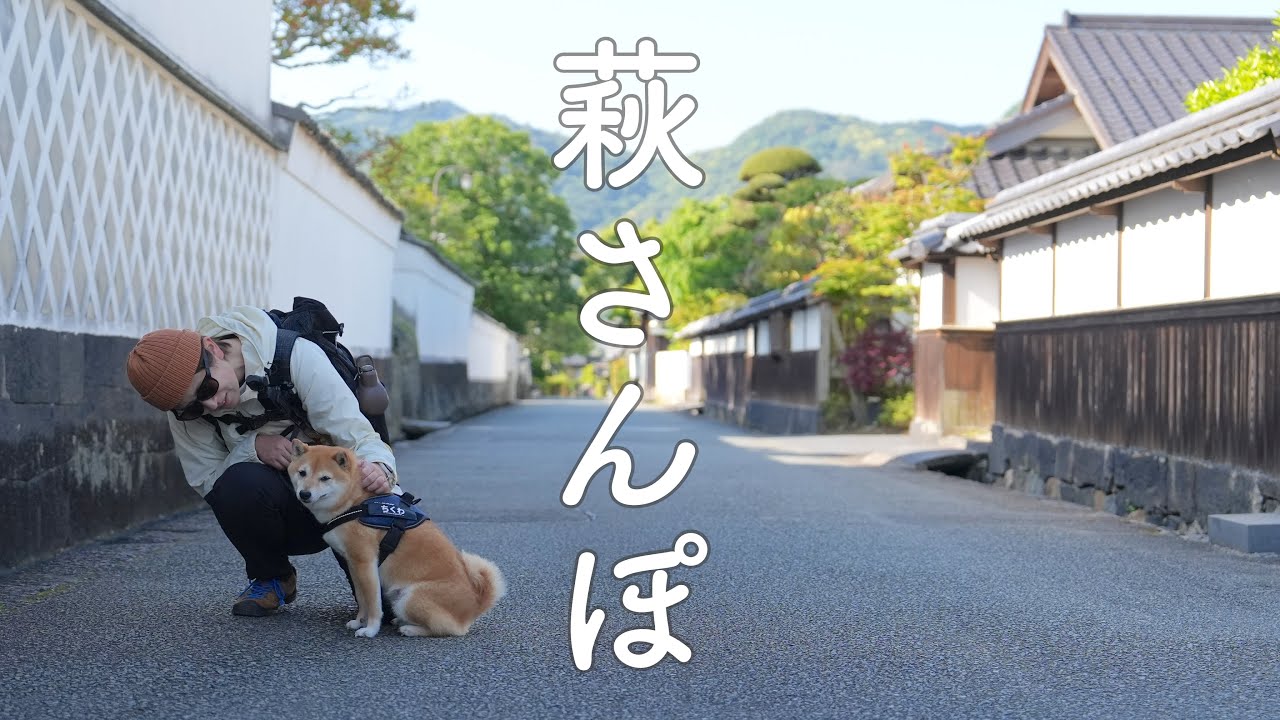 【犬とお出かけvlog】ぶらり萩さんぽ 多くの偉人を生んだ街を犬連れで観光（山口）