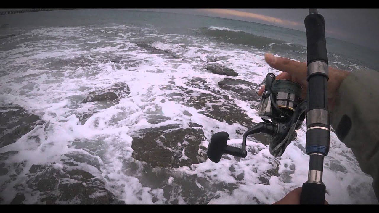 Duo rough trail Aomasa 148 F catching Bluefish . -Kofana avı-