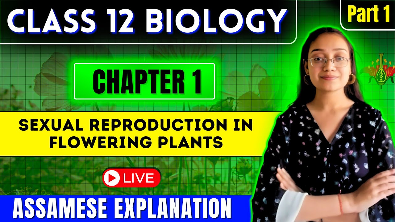 Class 12 Biology in Assamese | Sexual Reproduction in Flowering Plants | Let's Approach| Part 01