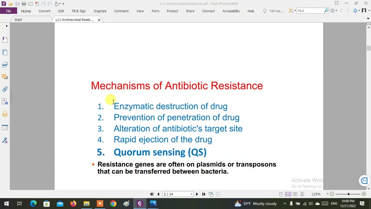 University of Basra - College of Medicine - 3rd stage - Bacteria L11