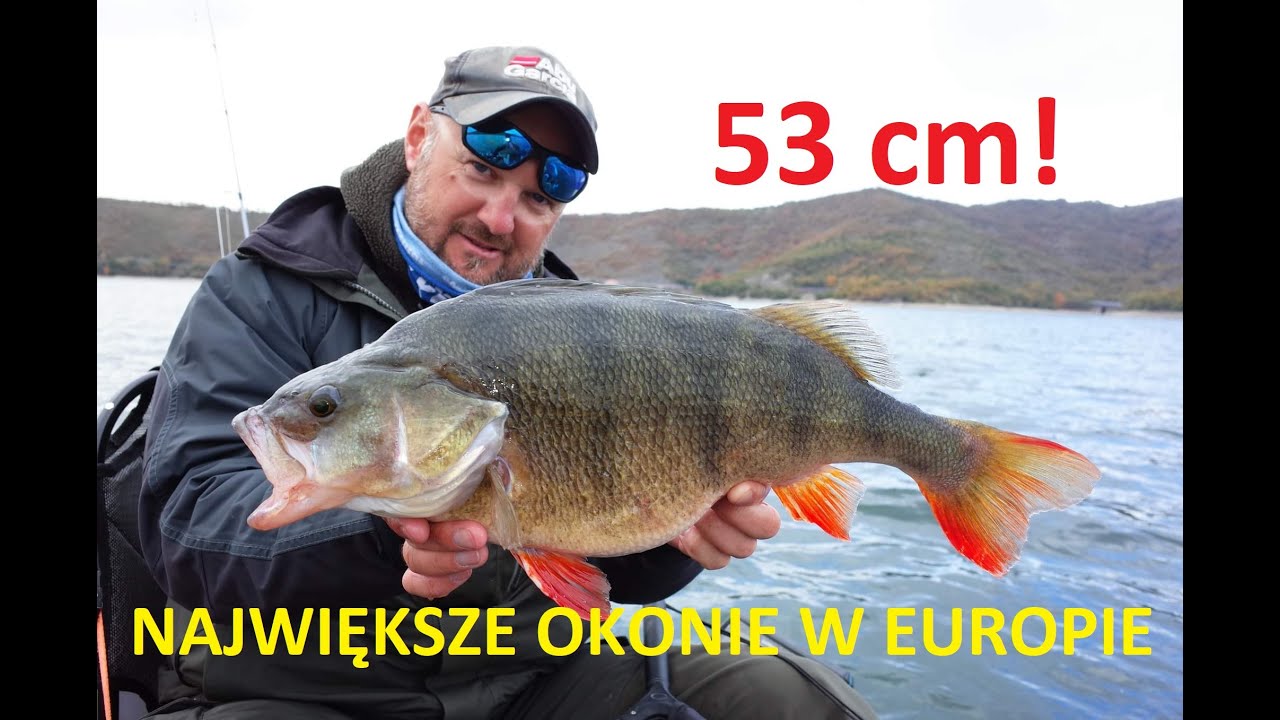 Gigantyczne okonie z Jeziora Gigantów / odc.77