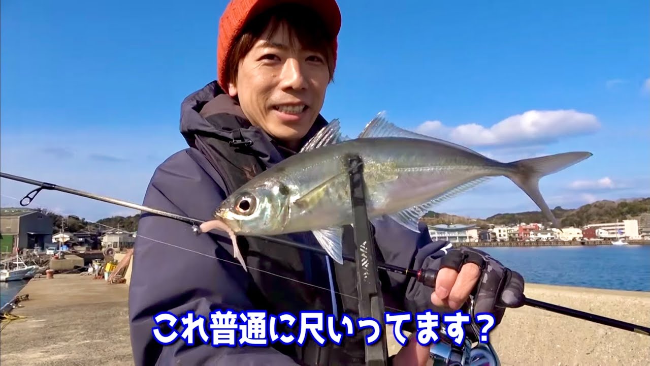 【ギガアジの聖地】壱岐のデイアジングが最強過ぎた…。
