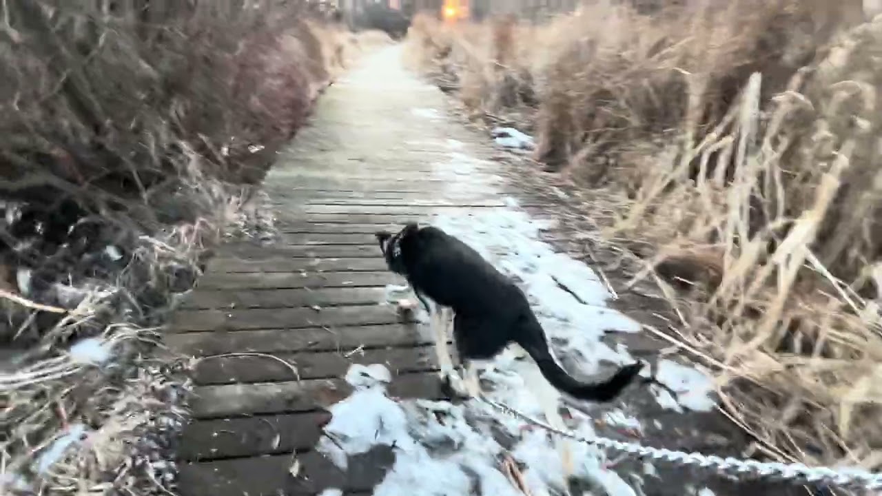 I love my puppy. Tues 3/3/26.