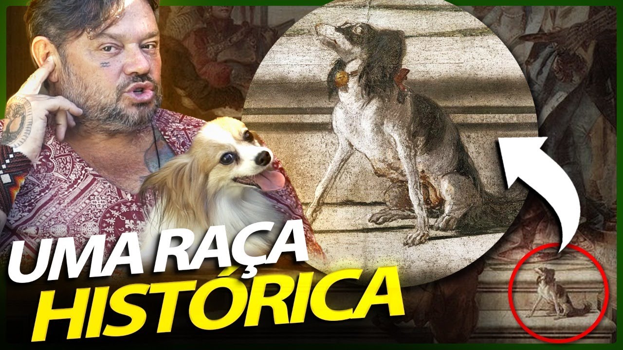 PAPILLON, O CACHORRO DA RAINHA DA FRANÇA! | RICHARD RASMUSSEN