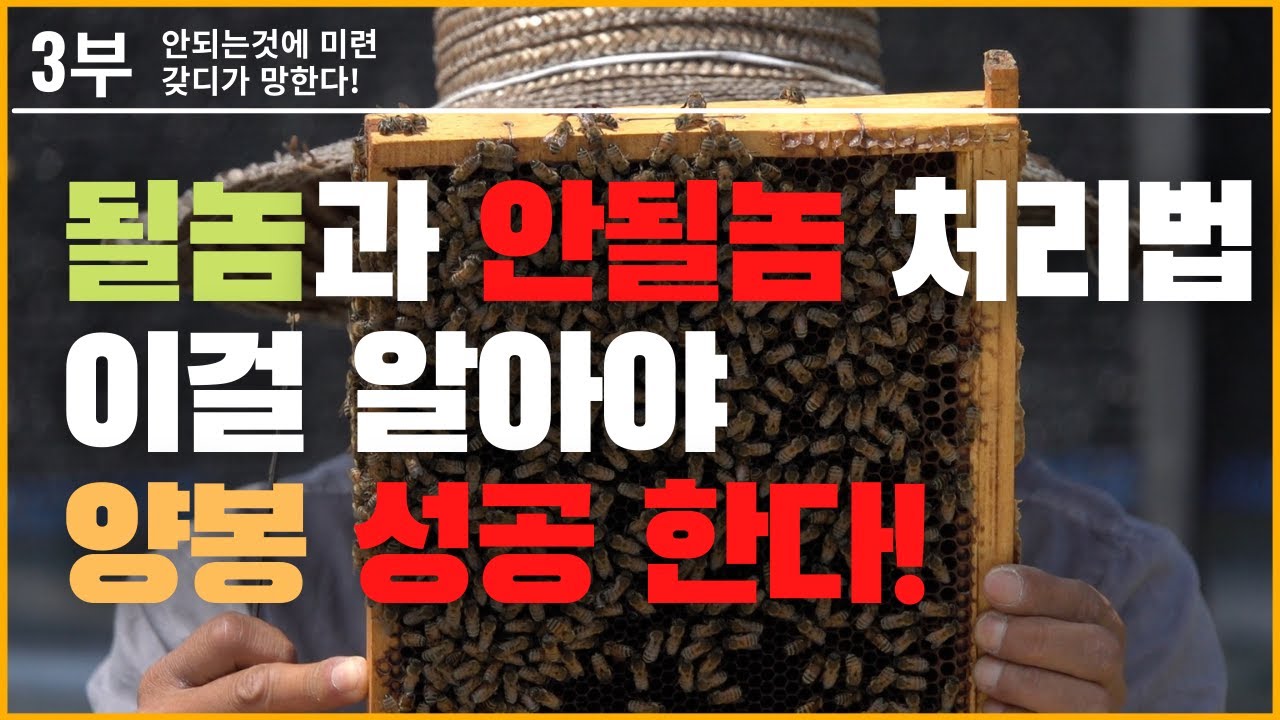 [공수래공수거]3부- 이거 모르면 100% 양봉 망한다![될놈과 안될놈 구별 처리법]