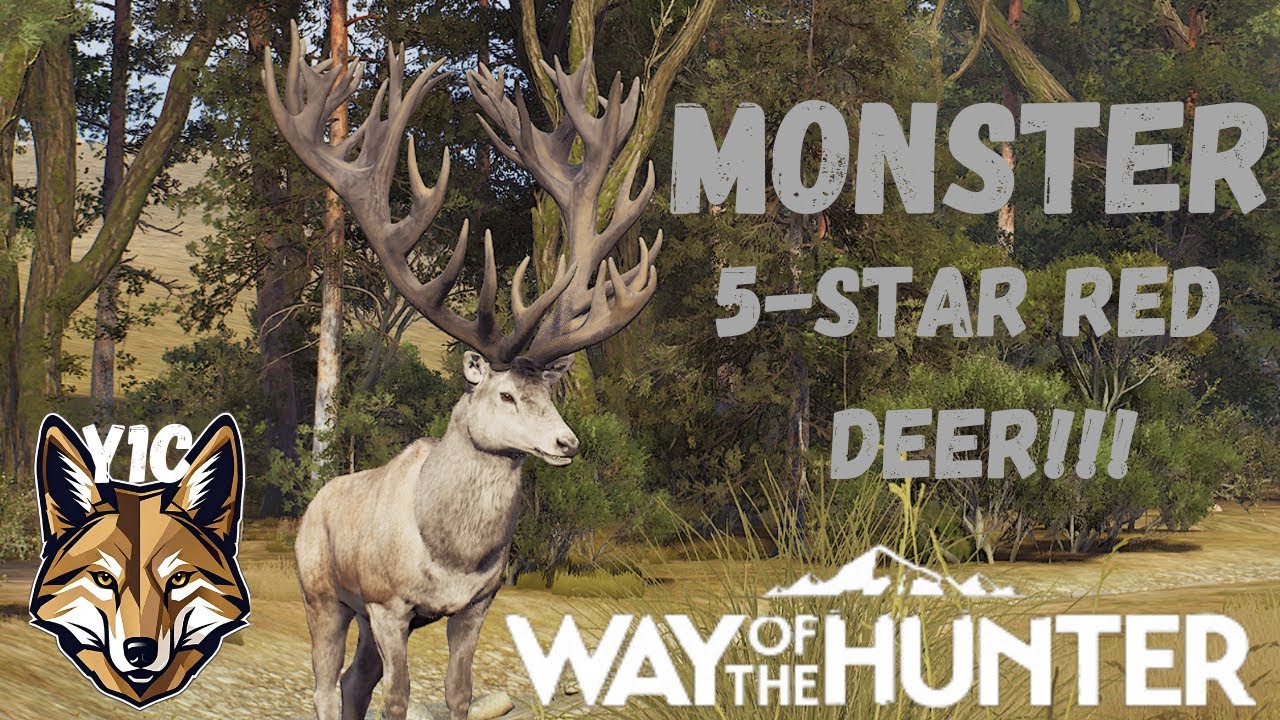 Matariki Park! Long Shots, Feral Goats, And Red Deer! | Way of the Hunter