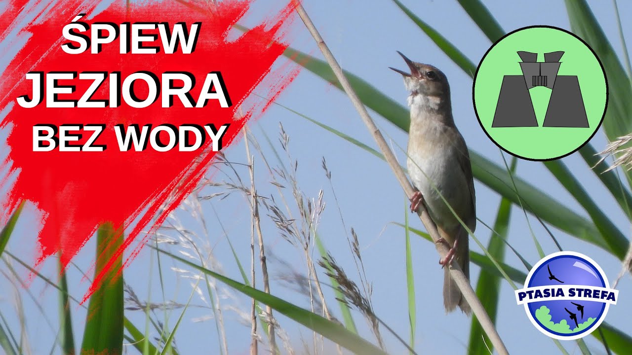 Jezioro bez wody