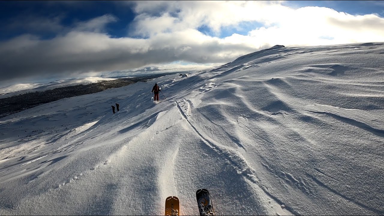 Topptur med guide på Svansjökläppen 1125 möh - Funäsdalen i Jämtland